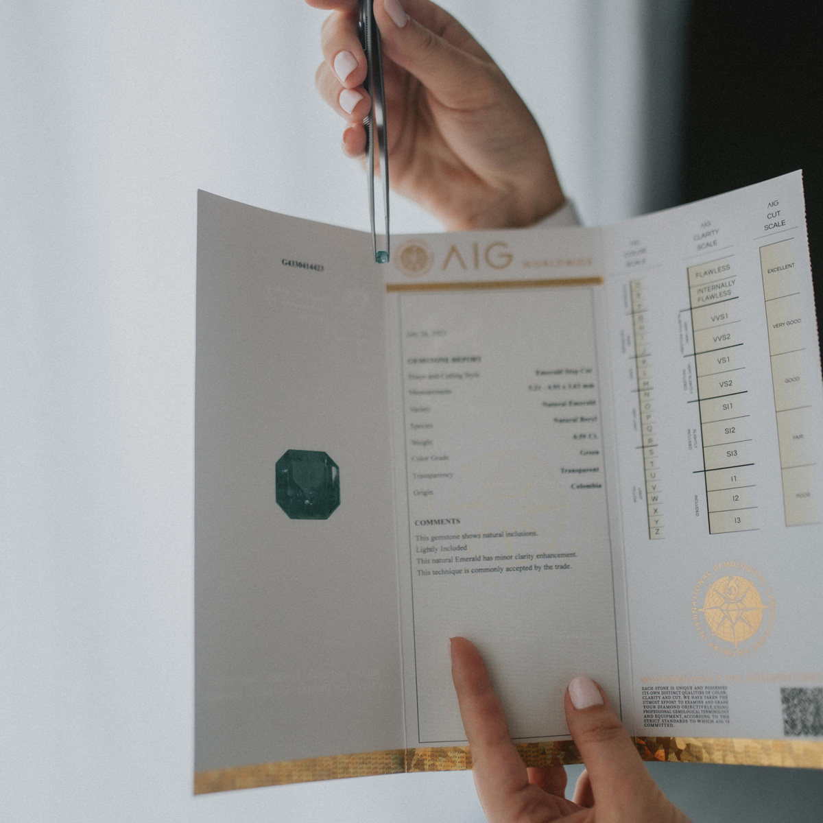 2023_09_02_Anna_brand-123